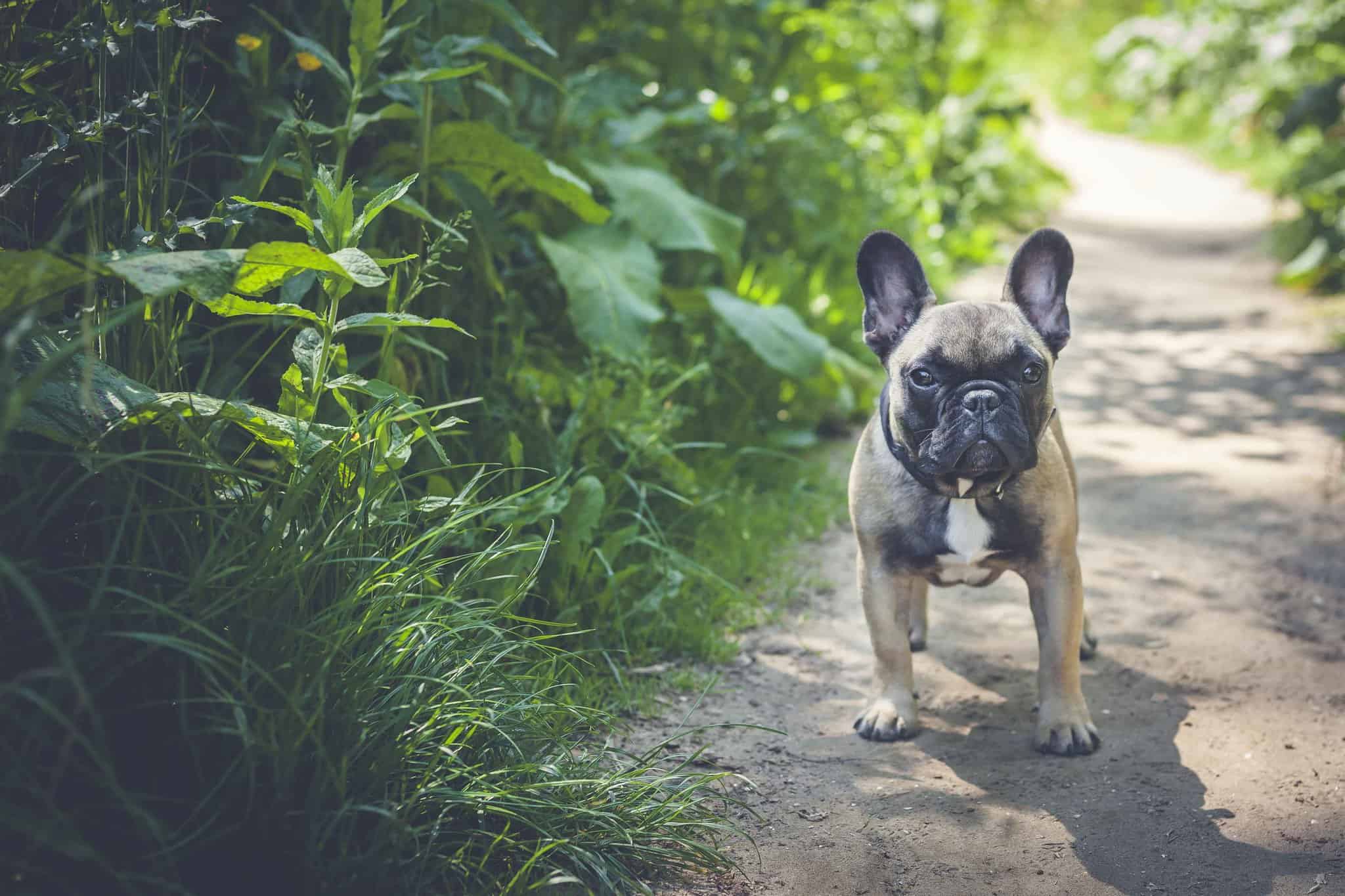 MomentsbyKellyBoeffShoot-10